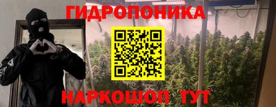 каннабис Кунгур
